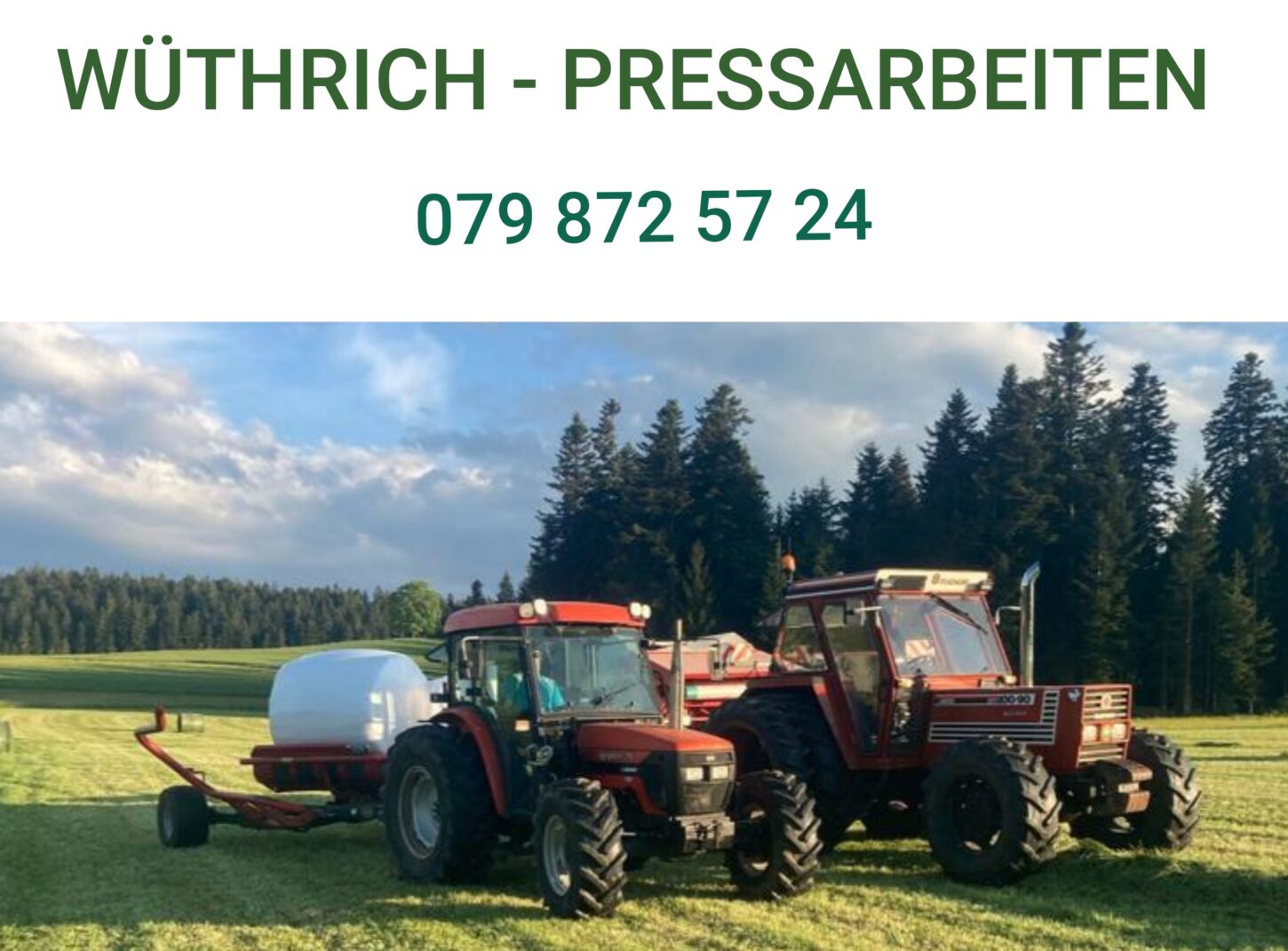 pers-nlb-liviaschneeberger-1-wuthrichpressarbeitenholztransport-logo
