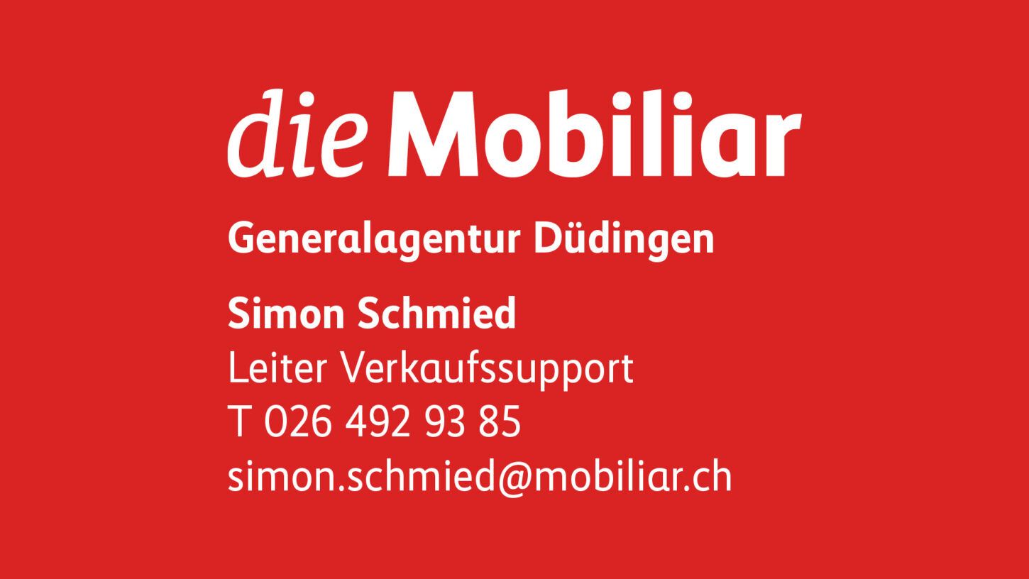 pers-u17a-liviabalmer-3-diemobiliar-generalagenturdudingen-logo