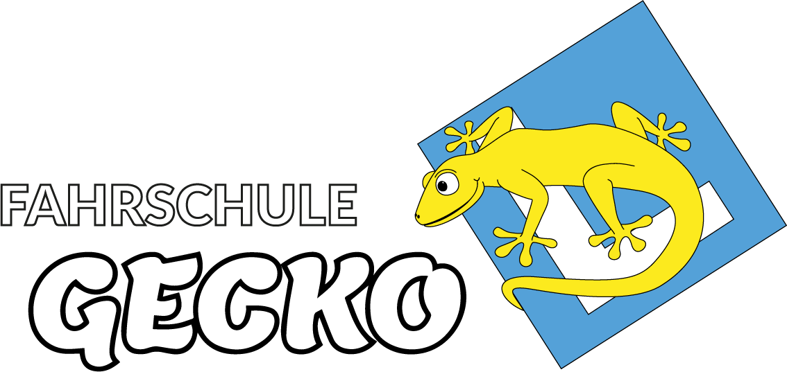pers-u21a-leoniechanson-2-fahrschulegecko-logo